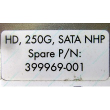 HP 250G 7.2k 432337-001/ 399699-001 / 397377-004 SATA HDD (Новый Уренгой)