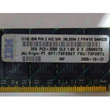 IBM 73P2871 73P2867 2Gb (2048Mb) DDR2 ECC Reg memory (Новый Уренгой)