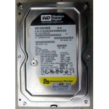 Жесткий диск 160Gb WD WD1602ABKS SATA (Новый Уренгой)