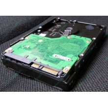 Жесткий диск 600Gb 15k Dell 9FN066-008 6G SAS ( Seagate Cheetach ST3600057SS 15K.7) - Новый Уренгой