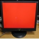 Монитор 19" ViewSonic VA903b (1280x1024) есть битые пиксели (Новый Уренгой)