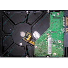 Б/У жёсткий диск 500Gb Western Digital WD5000AVVS (WD AV-GP 500 GB) 5400 rpm SATA (Новый Уренгой)