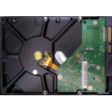 Б/У жёсткий диск 1Tb Western Digital WD10EVVS Green (WD AV-GP 1000 GB) 5400 rpm SATA (Новый Уренгой)