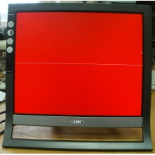 Монитор 17" TFT Sony SDM-HS75 (Новый Уренгой)