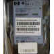 Жёсткий диск 146.8Gb HP 365695-008 404708-001 BD14689BB9 256716-B22 MAW3147NC 10000 rpm Ultra320 Wide SCSI купить в Новом Уренгое, цена (Новый Уренгой).