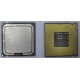 Процессор Intel Celeron D 336 (2.8GHz /256kb /533MHz) SL98W s.775 (Новый Уренгой)