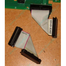 6017B0045701 Шлейф 24 pin для Intel C74974-401 T0043401-B01 корпуса SR2400 (Новый Уренгой)