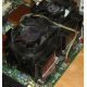 Intel A46002-003 (Новый Уренгой)