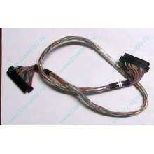 6017B0045301 в Новом Уренгое, 68pin SCSI кабель 26.5" / 57cm для корзины HDD Intel SR2400 (Новый Уренгой)