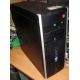 БУ компьютер HP Compaq Elite 8300 (Intel Core i3-3220 (2x3.3GHz HT) /4Gb /250Gb /ATX 320W) - Новый Уренгой