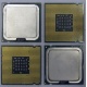 Процессоры Intel Pentium-4 506 (2.66GHz /1Mb /533MHz) SL8J8 s.775 (Новый Уренгой)