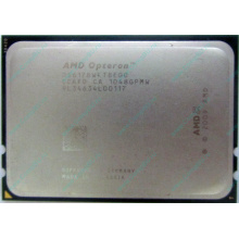 AMD Opteron 6128 OS6128WKT8EGO (Новый Уренгой)