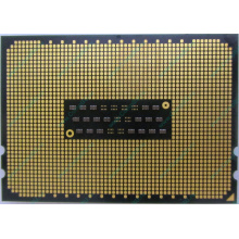 AMD Opteron 6128 OS6128WKT8EGO (Новый Уренгой)