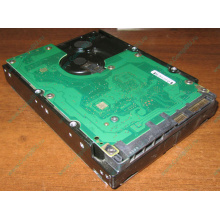 Жесткий диск 300Gb 15k Dell 9CH066-050 6G SAS (Seagate Cheetach ST3300656SS 15K.6) - Новый Уренгой